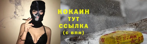 МДПВ Краснослободск