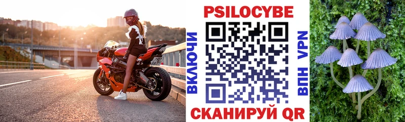 Псилоцибиновые грибы мицелий  omg ССЫЛКА  Дербент 