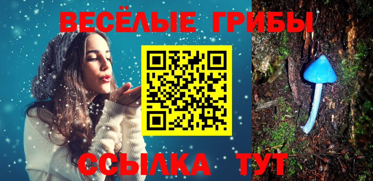 Псилоцибиновые грибы GOLDEN TEACHER Дербент